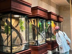 -帕帕拉兹宠物(亚洲旗舰店)