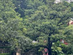 -鸿山公园