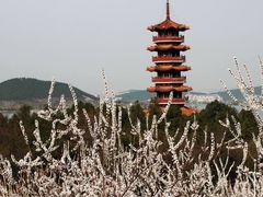 -云龙山