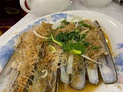 蒜蓉粉絲蒸聖子-沙田新强记烧鹅海鲜酒家