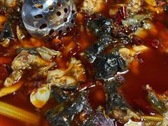 带皮牛蛙-毛草房(南辛庄街店)