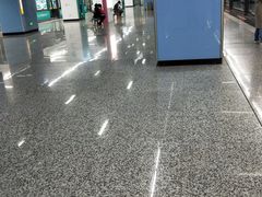 -大龙山(地铁站)