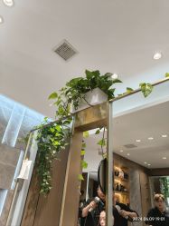 -SA MI hair salon烫染沙龙