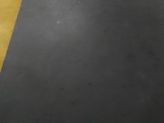 -添彩臻宴