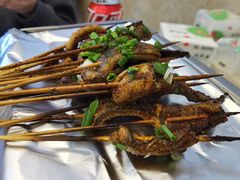 鳝鱼-晓靖轩烧烤(沙河风情店)