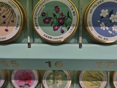 -海马体照相馆(上海月星环球港店)