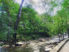 -玉渡山自然风景区