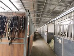 -北京群众马术培训基地