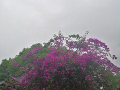 -海珠湖公园