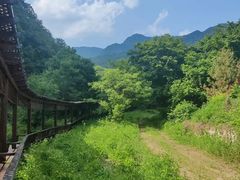 -三块石国家森林公园