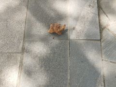 -后襄河公园