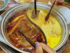 -青瓷火锅料理(西单大悦城店)