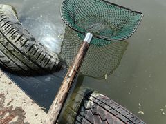 -樂桃源奉贤黄桃种植采摘基地