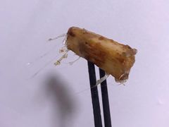 -盒马鲜生(杭州运河上街店)