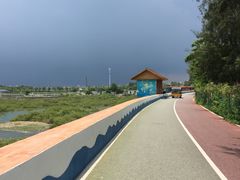 -北海金海湾红树林生态旅游区