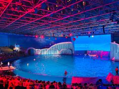 -海合安青岛极地海洋公园
