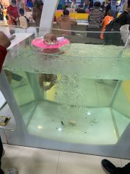 -贝凯雅婴儿游泳SPA(华东万和城店)