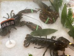-张亮麻辣烫(哈尔滨金爵万象店)