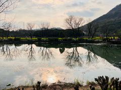 -八卦田遗址公园