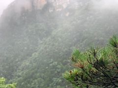 -庐山风景区花径公园