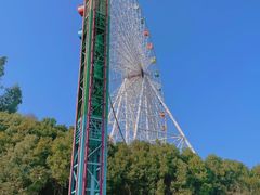 -温州乐园
