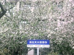 -天津大学·四十二斋餐厅