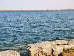 -南湖国家城市湿地公园