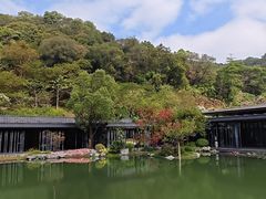 -云溪植物园