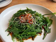 南瓜芽-马仕玖煲·融合菜·酥不腻烤鸭(人大店)