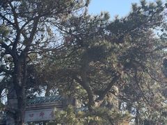 -含鄱口