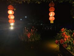 -晓琦农家菜馆·地道农家菜