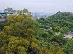 -福道