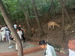 -大连森林动物园