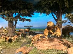 -国家自然博物馆