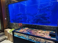 -忆江南·临江鱼馆