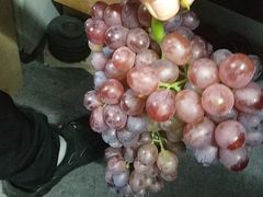 -比格比萨自助(密云店)