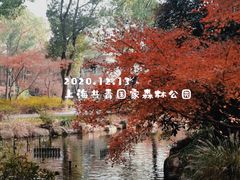 -上海共青森林公园