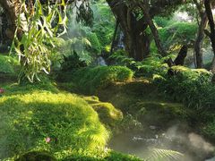 -Chom Cafe and Restaurant