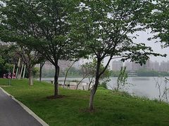 -金银湖国家城市湿地公园