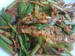 -生态苑农庄(十里画廊遇龙河店)