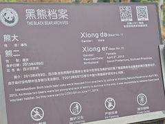 -都江堰中华大熊猫苑