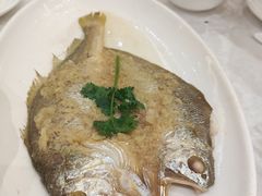 -喜悦海鲜大酒楼(钱柜广场店)