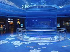 景点-上海海昌海洋公园