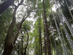 -同里国家湿地公园