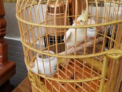 -许鲜生健康生活馆·精细潮菜(奥绅体育公园店)