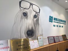 -美联众合动物医院·24h转诊中心