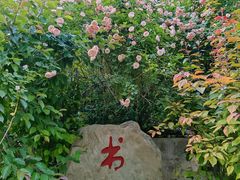 -太阳宫公园