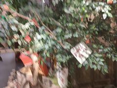 -田园印象·成都土菜院子(华阳店)