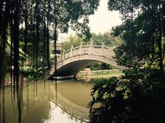 -小洲村