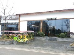 -桤木河湿地公园